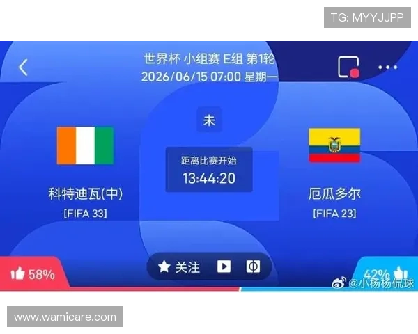 世界杯赛场科特迪瓦与厄瓜多尔球员专访带你了解两队最新状态与战术布局